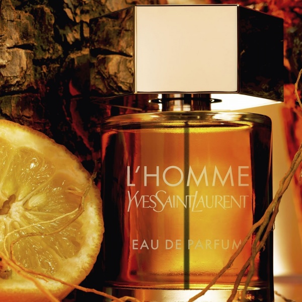 YSL L'Homme EDP 60ml - scentubeauty.co.uk