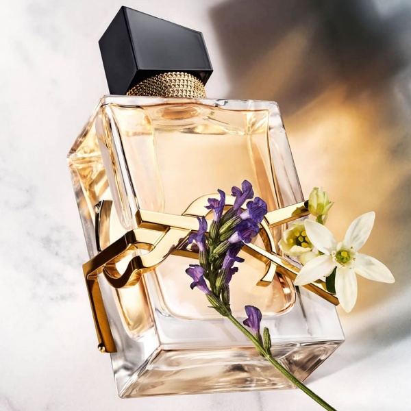YSL Libre EDT 50ml - scentubeauty.co.uk