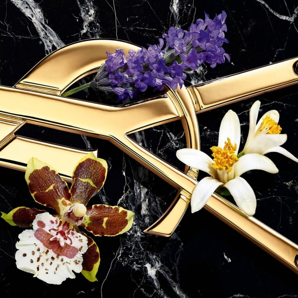 YSL Libre EDP Intense 30ml scentubeauty